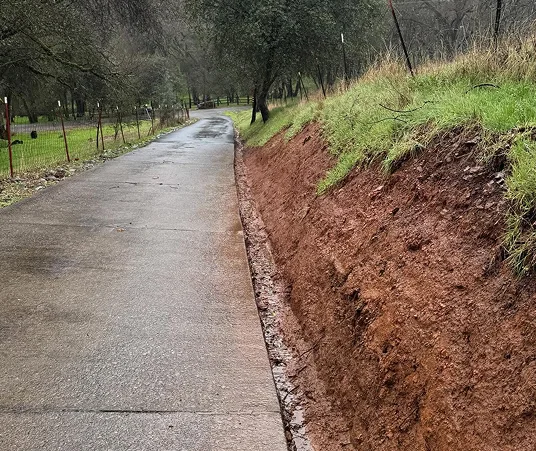 Narrow Road with Soil and Grass Alongside
