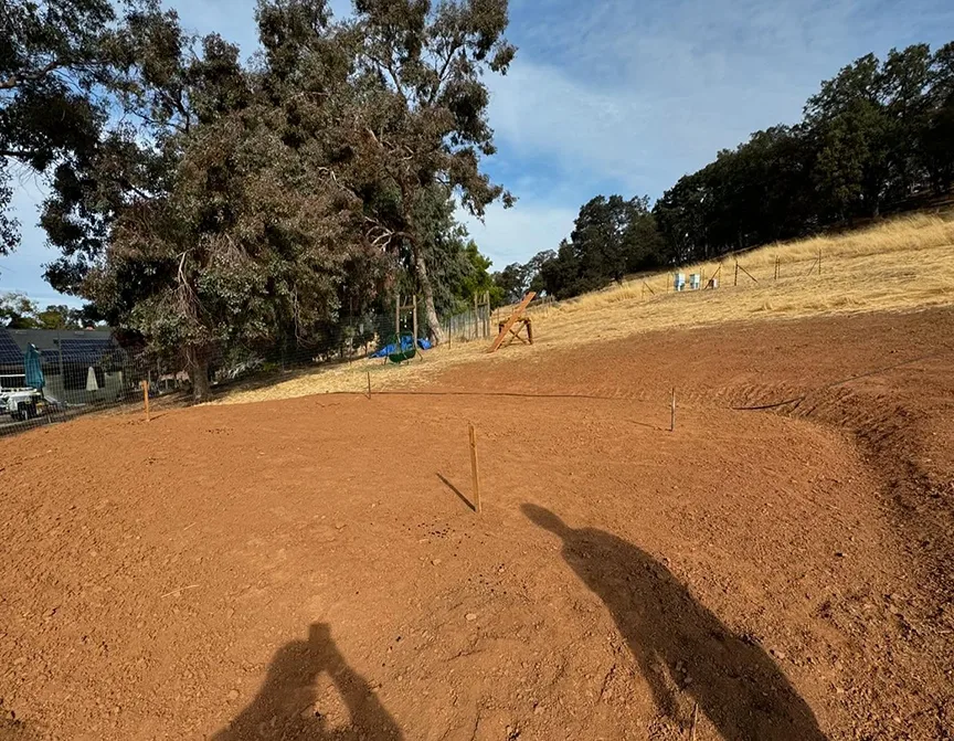 Site Prep and Fine Grading