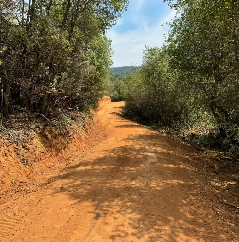 Municipal Contractors For Roadway Infrastructure