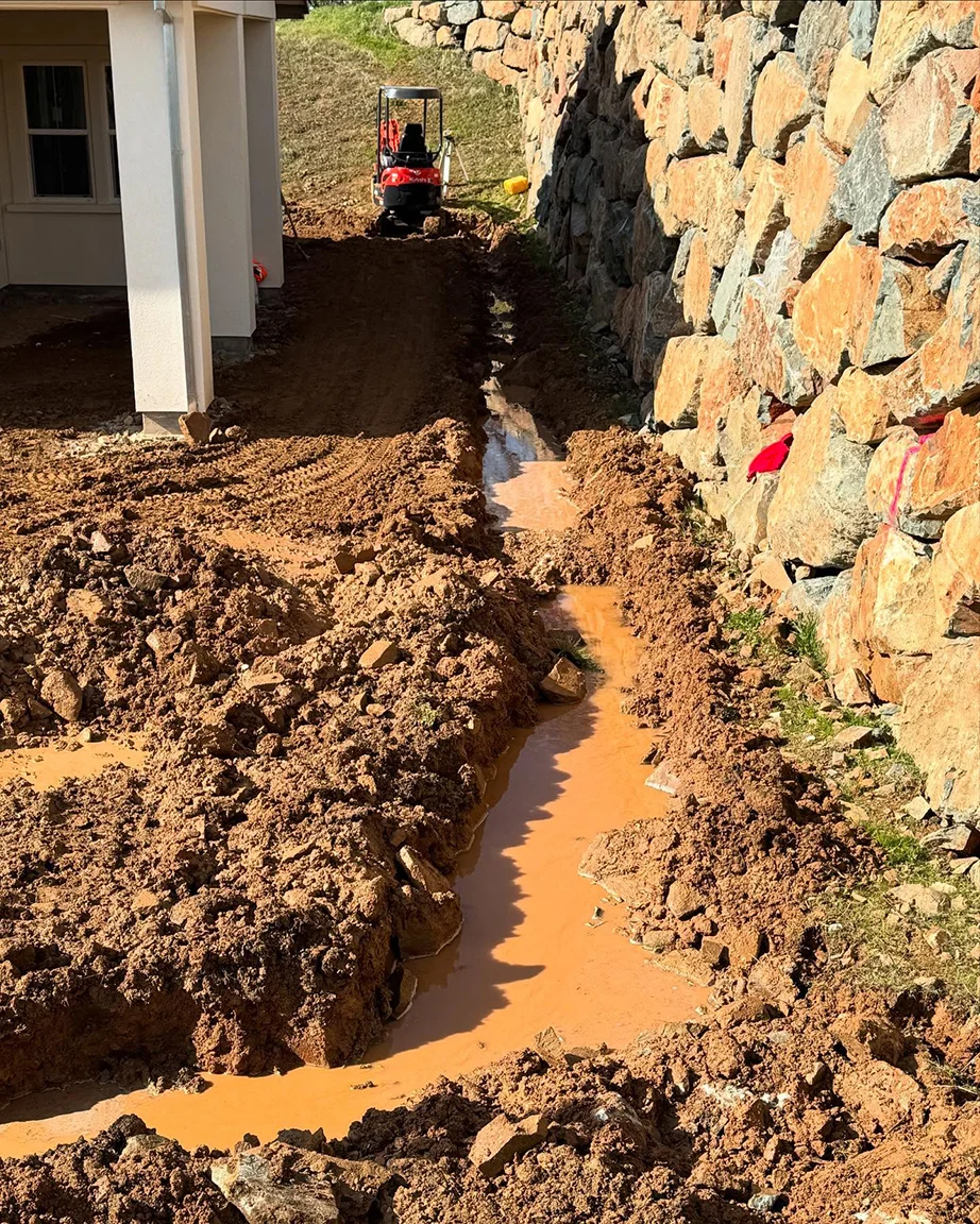 signs you need professional drainage improvements